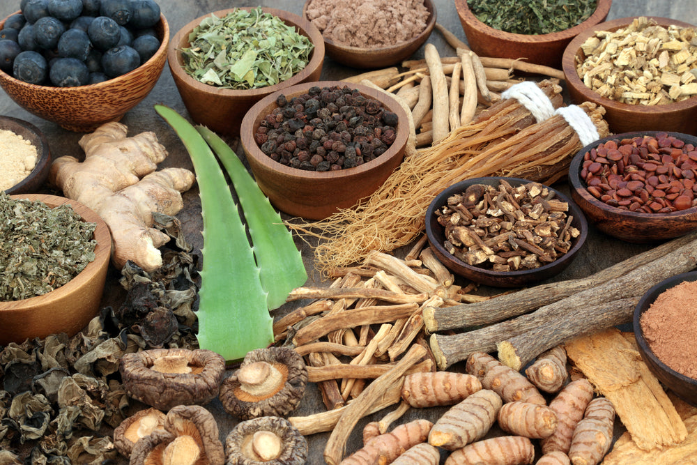 Embracing Adaptogens- Nature’s Stress Busters in Ayurvedic Medicine